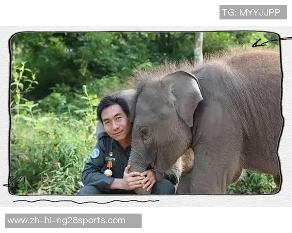 灵芝足球的奇妙旅程探索健康与运动的完美结合